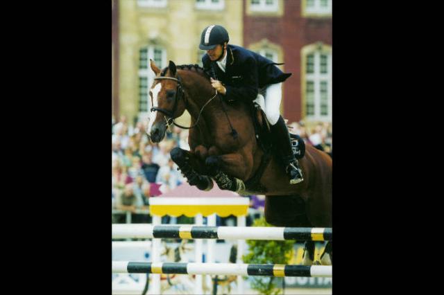 Lando - Caballo de Deporte Danés 1988 por LANCIER