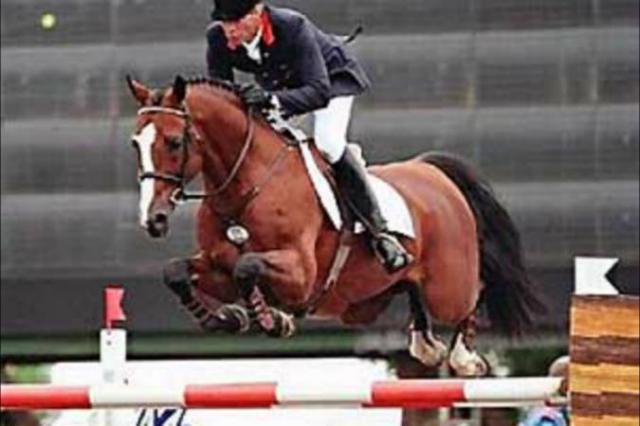 Lando - Caballo de Deporte Danés 1988 por LANCIER