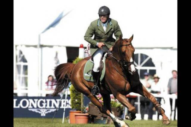 Tinka's Boy - KWPN Caballo de Deporte Neerlandés 1989 por ZUIDPOOL