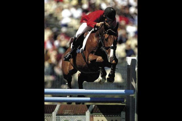 Tinka's Boy - KWPN Caballo de Deporte Neerlandés 1989 por ZUIDPOOL