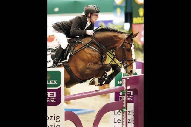 Plot Blue - KWPN Caballo de Deporte Neerland&eacute;s 1997 por MR BLUE