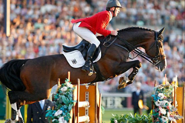 Plot Blue - KWPN Caballo de Deporte Neerland&eacute;s 1997 por MR BLUE