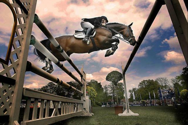 Plot Blue - KWPN Caballo de Deporte Neerland&eacute;s 1997 por MR BLUE