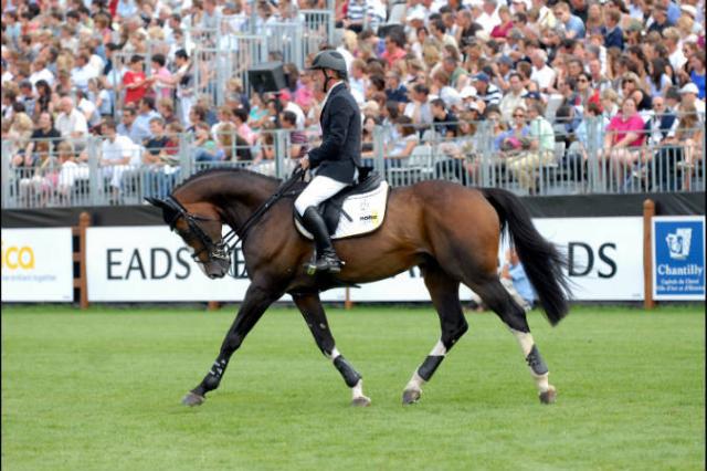 Plot Blue - KWPN Caballo de Deporte Neerland&eacute;s 1997 por MR BLUE