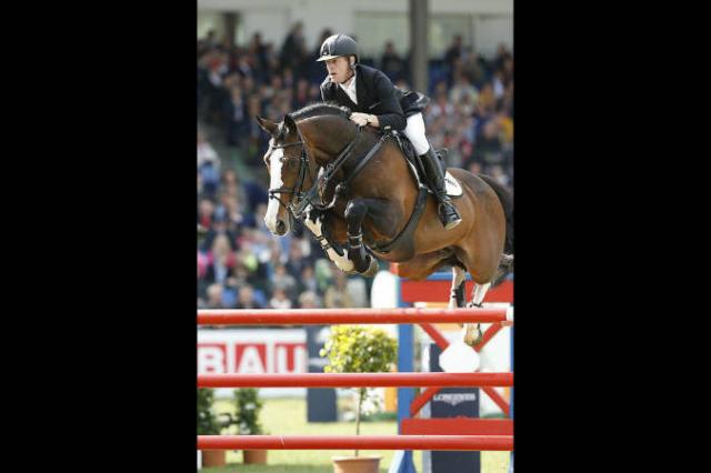 Plot Blue - KWPN Caballo de Deporte Neerland&eacute;s 1997 por MR BLUE