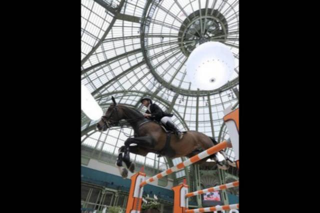 Plot Blue - KWPN Caballo de Deporte Neerland&eacute;s 1997 por MR BLUE