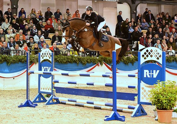 Million Dollar - BWP Caballo de Sangre Belga 2012 por PLOT BLUE