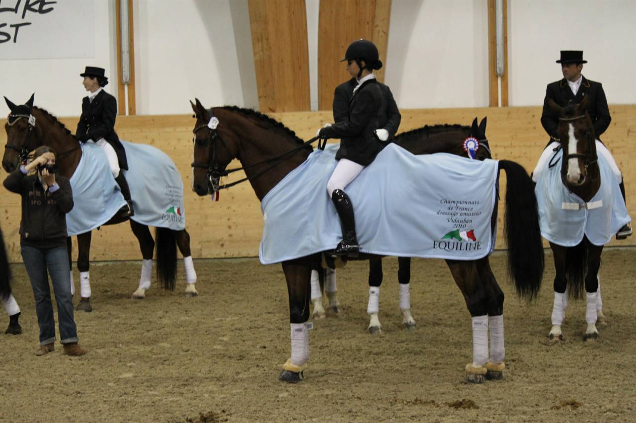 Don Quichot - BWP Caballo de Sangre Belga 2000 por QUITE EASY