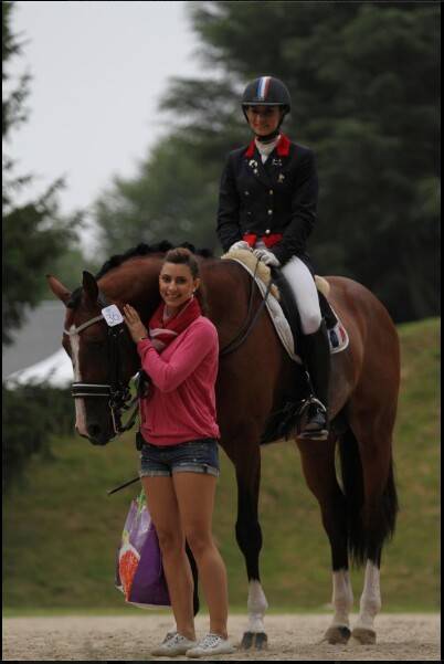 Don Quichot - BWP Caballo de Sangre Belga 2000 por QUITE EASY