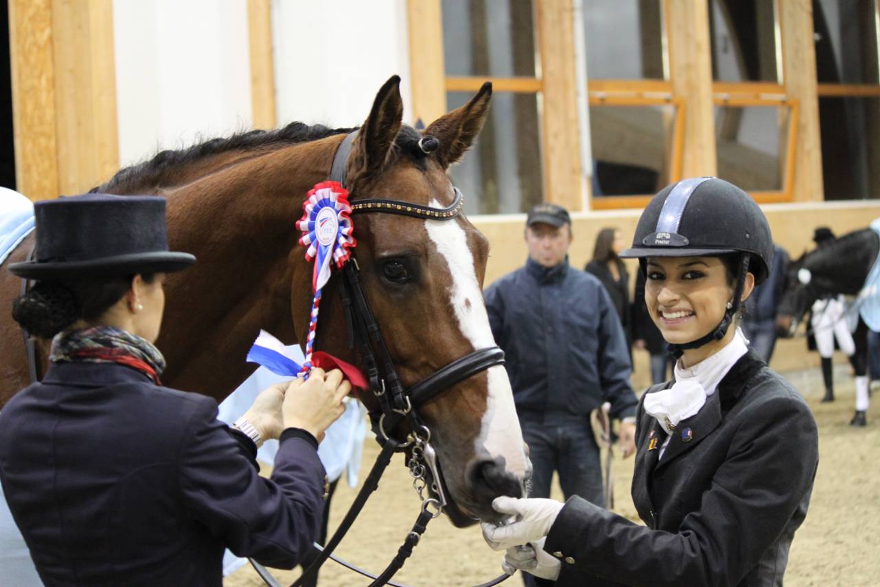 Don Quichot - BWP Caballo de Sangre Belga 2000 por QUITE EASY