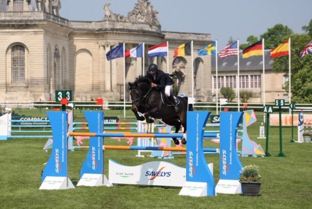 HEROE DE CAFENY - Silla Francés 2017 por DIAMANT DE SEMILLY