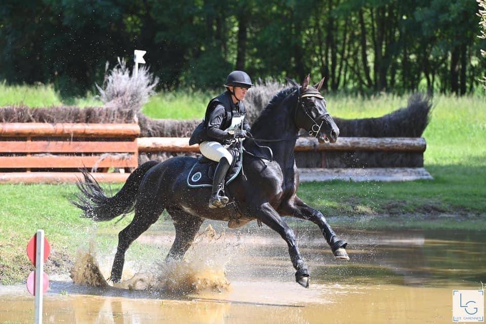 HEROE DE CAFENY - Silla Francés 2017 por DIAMANT DE SEMILLY