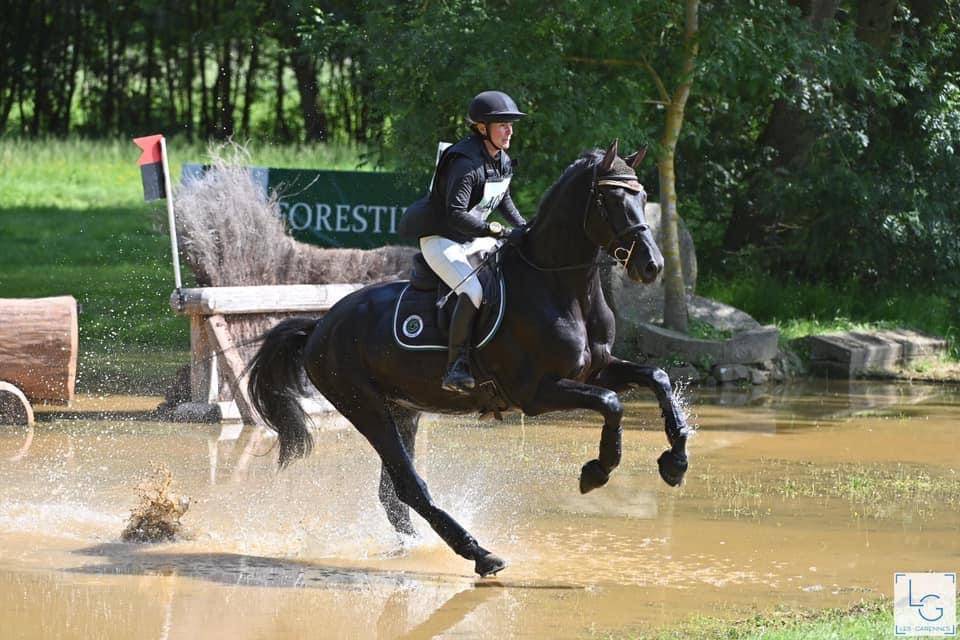 HEROE DE CAFENY - Silla Francés 2017 por DIAMANT DE SEMILLY