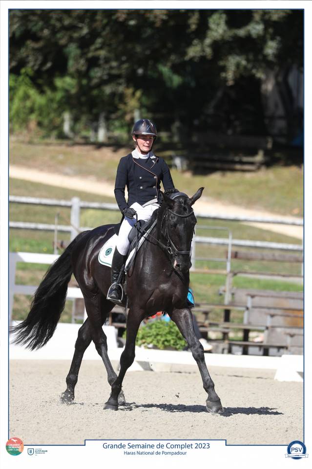 HEROE DE CAFENY - Silla Francés 2017 por DIAMANT DE SEMILLY