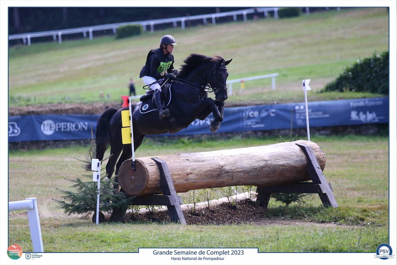 HEROE DE CAFENY - Silla Francés 2017 por DIAMANT DE SEMILLY