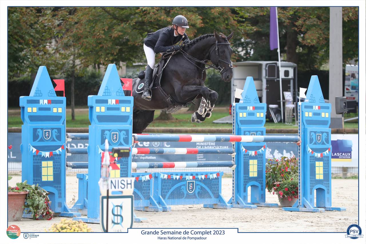 HEROE DE CAFENY - Silla Francés 2017 por DIAMANT DE SEMILLY