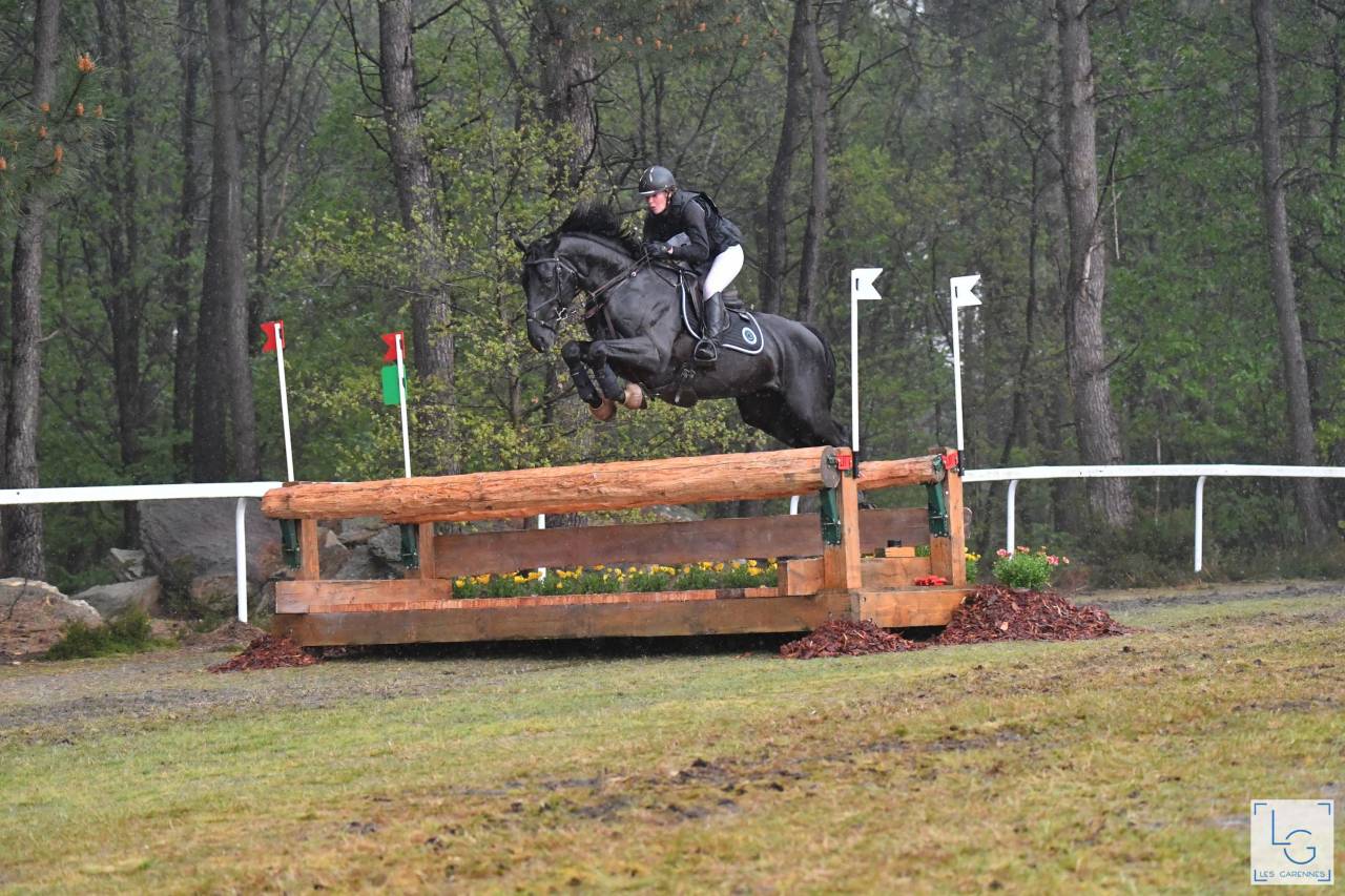 HEROE DE CAFENY - Silla Francés 2017 por DIAMANT DE SEMILLY