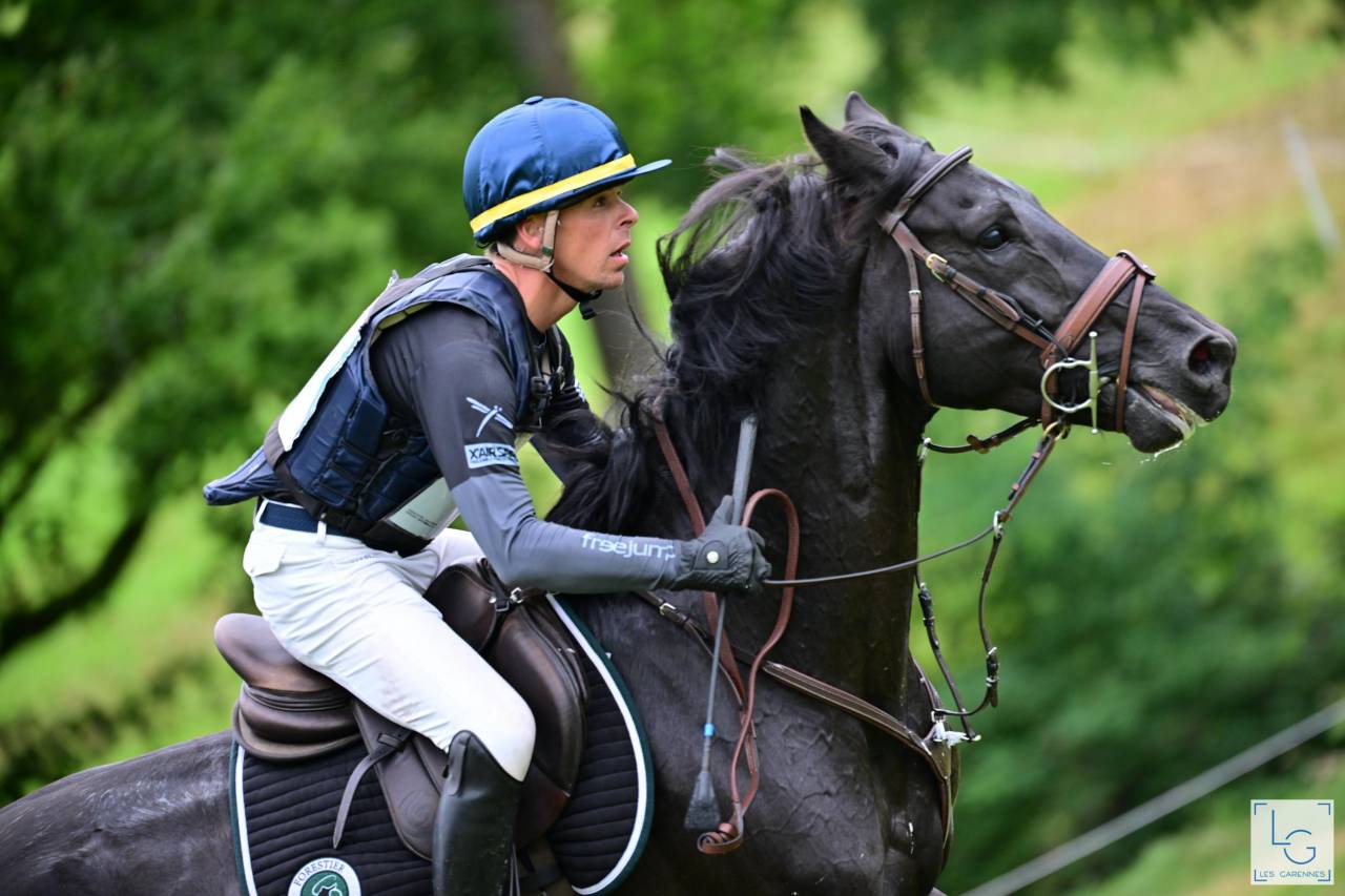 HEROE DE CAFENY - Silla Francés 2017 por DIAMANT DE SEMILLY