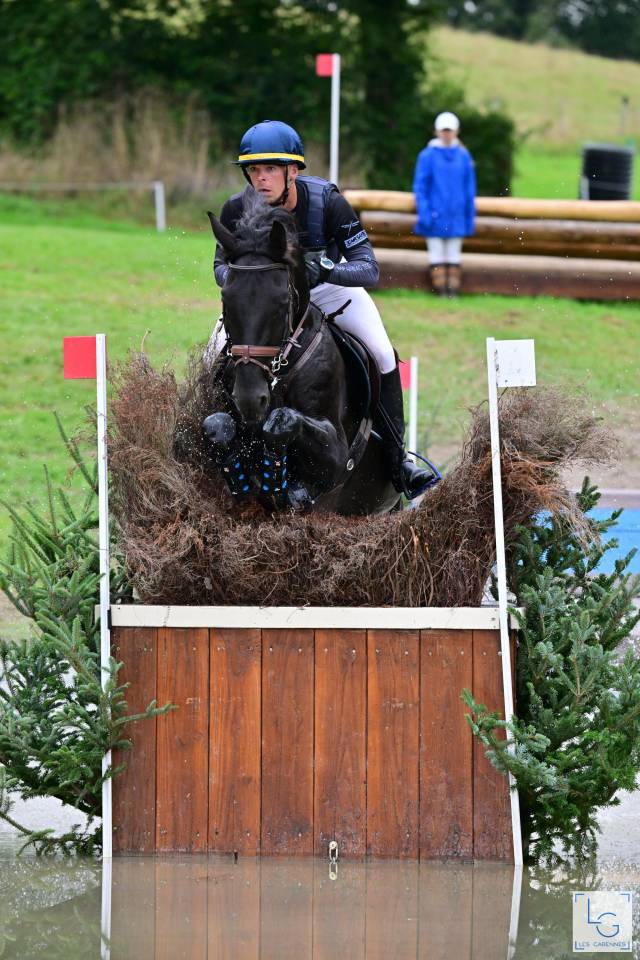 HEROE DE CAFENY - Silla Francés 2017 por DIAMANT DE SEMILLY