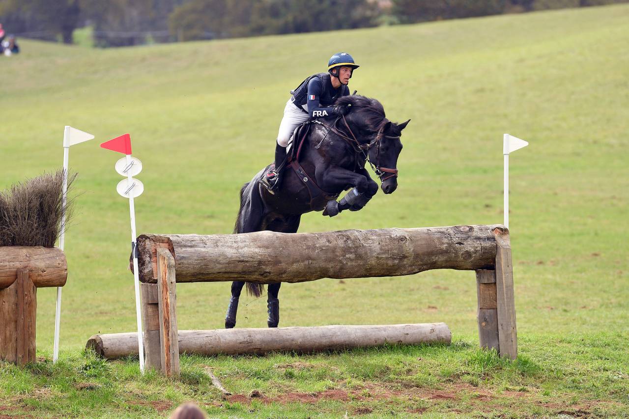 HEROE DE CAFENY - Silla Franc&eacute;s 2017 por DIAMANT DE SEMILLY
