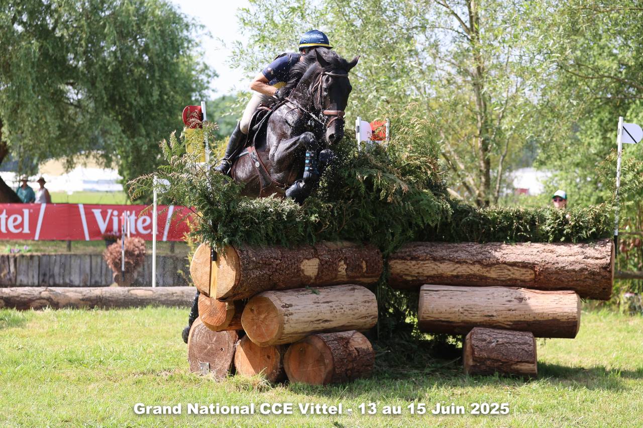 HEROE DE CAFENY - Silla Franc&eacute;s 2017 por DIAMANT DE SEMILLY