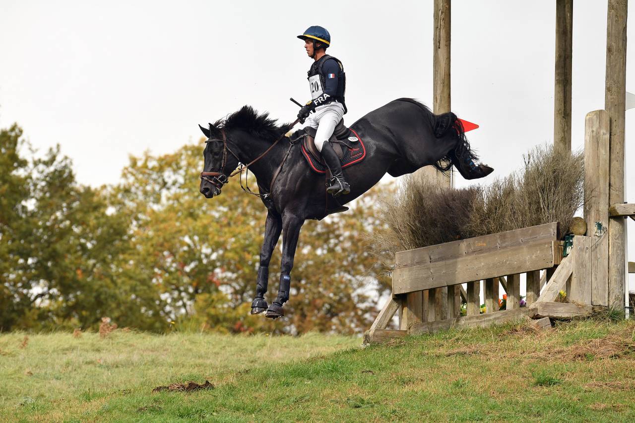 HEROE DE CAFENY - Silla Franc&eacute;s 2017 por DIAMANT DE SEMILLY