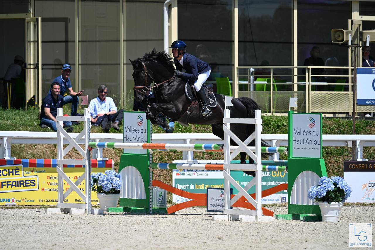 HEROE DE CAFENY - Silla Franc&eacute;s 2017 por DIAMANT DE SEMILLY
