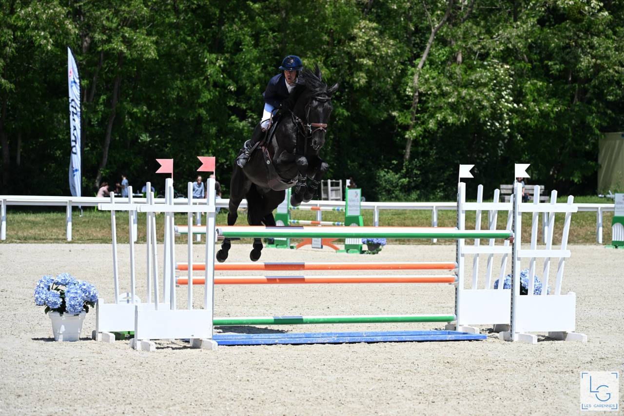 HEROE DE CAFENY - Silla Franc&eacute;s 2017 por DIAMANT DE SEMILLY