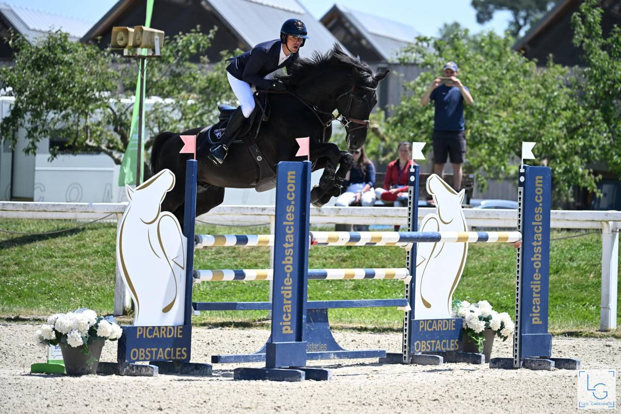 HEROE DE CAFENY - Silla Franc&eacute;s 2017 por DIAMANT DE SEMILLY