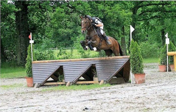 Acaballadero En venta Loiret