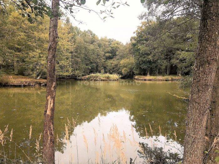 Propiedad ecuestre En venta París