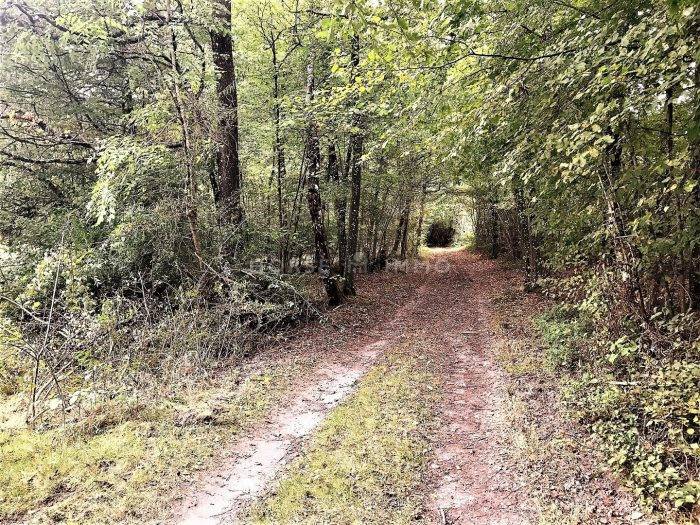 Propiedad ecuestre En venta París