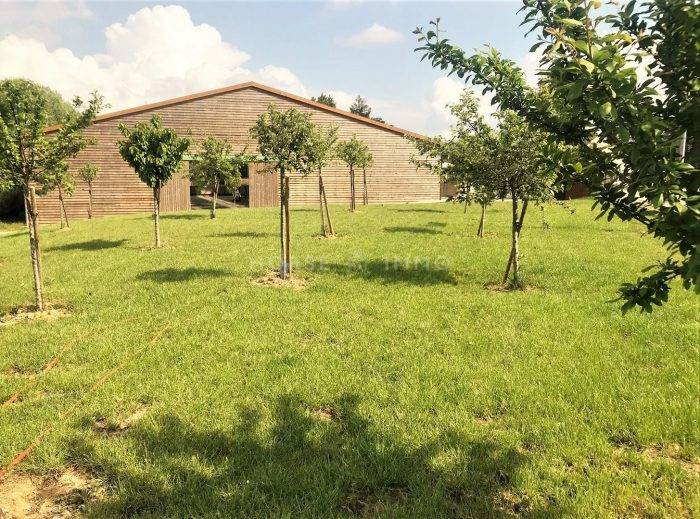 Acaballadero En venta Sena y Marne