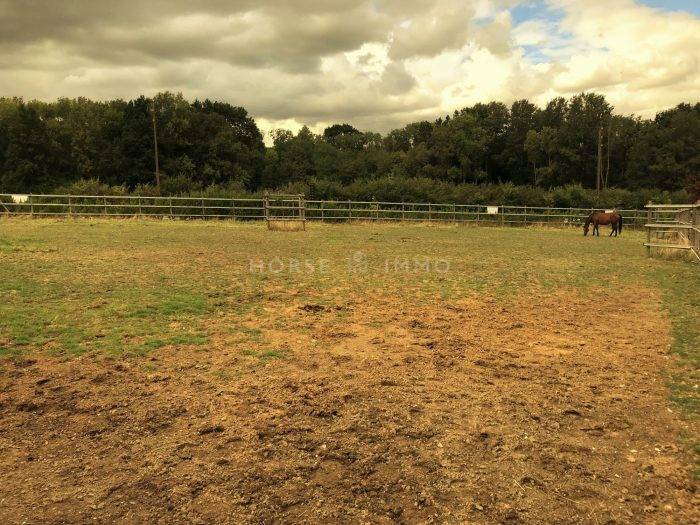 Acaballadero En venta Sena y Marne