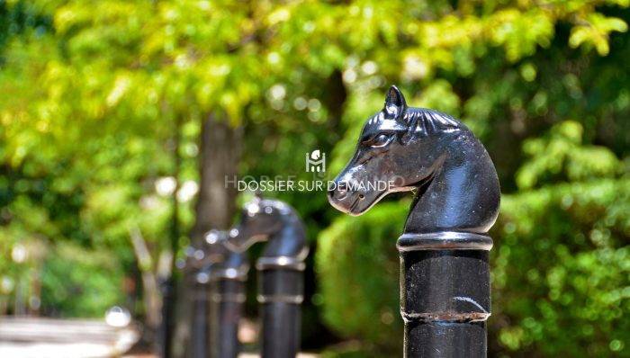 Acaballadero En venta Sena y Marne