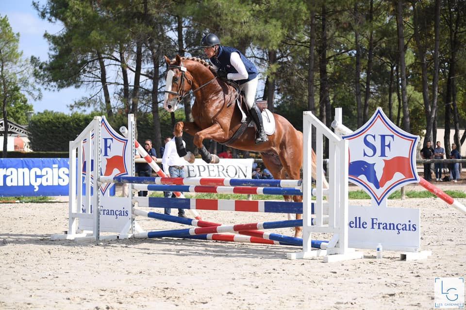 Gracieux d'Osmont - Silla Francés 2016 por jadis de toscane  sfa