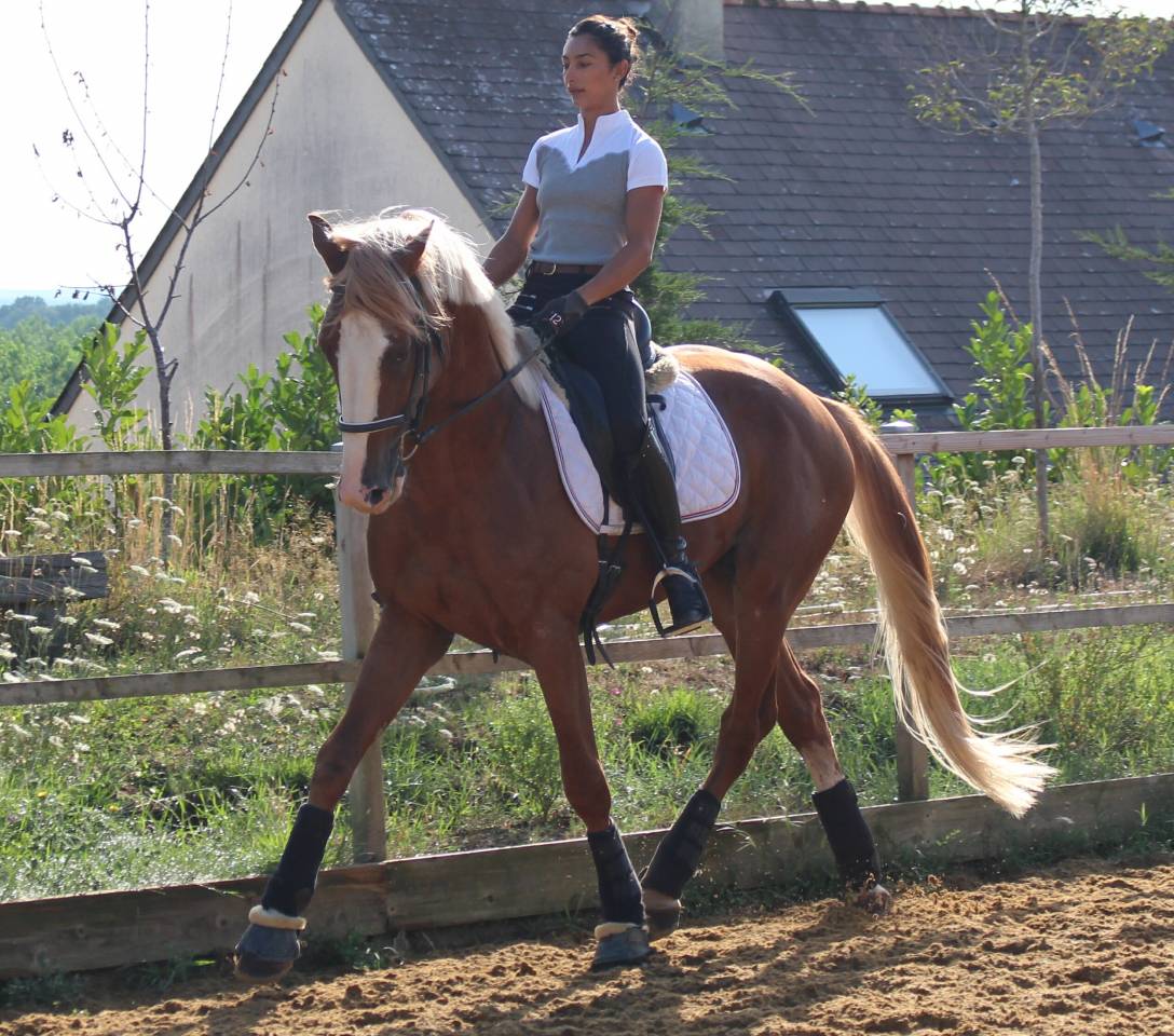 Gracieux d'Osmont - Silla Francés 2016 por jadis de toscane  sfa
