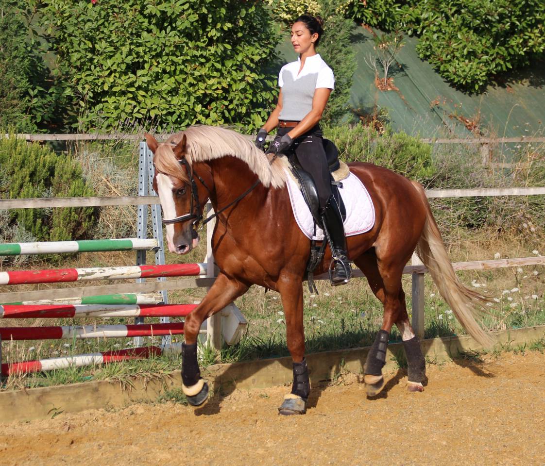 Gracieux d'Osmont - Silla Francés 2016 por jadis de toscane  sfa