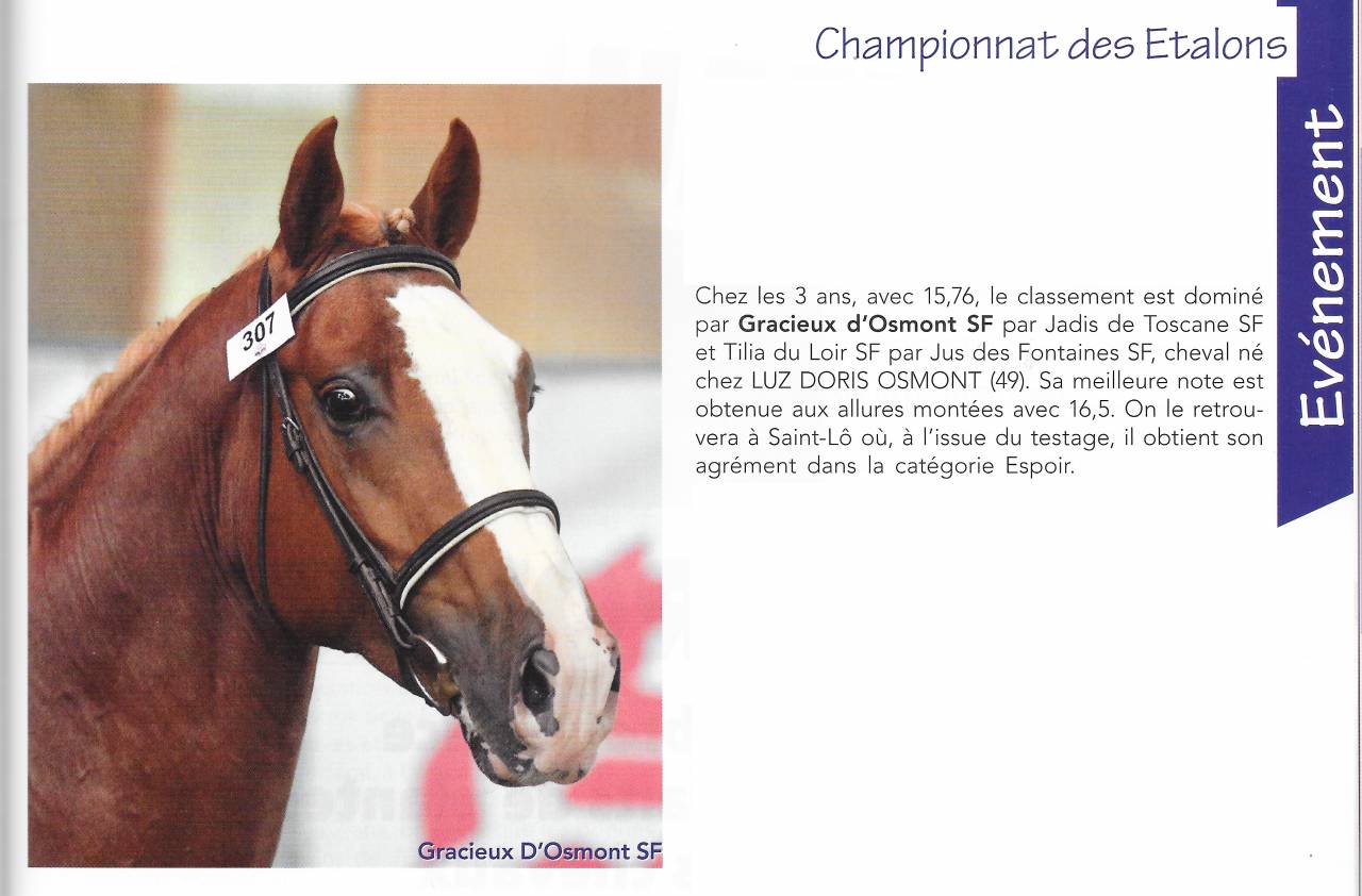 Gracieux d'Osmont - Silla Francés 2016 por jadis de toscane  sfa