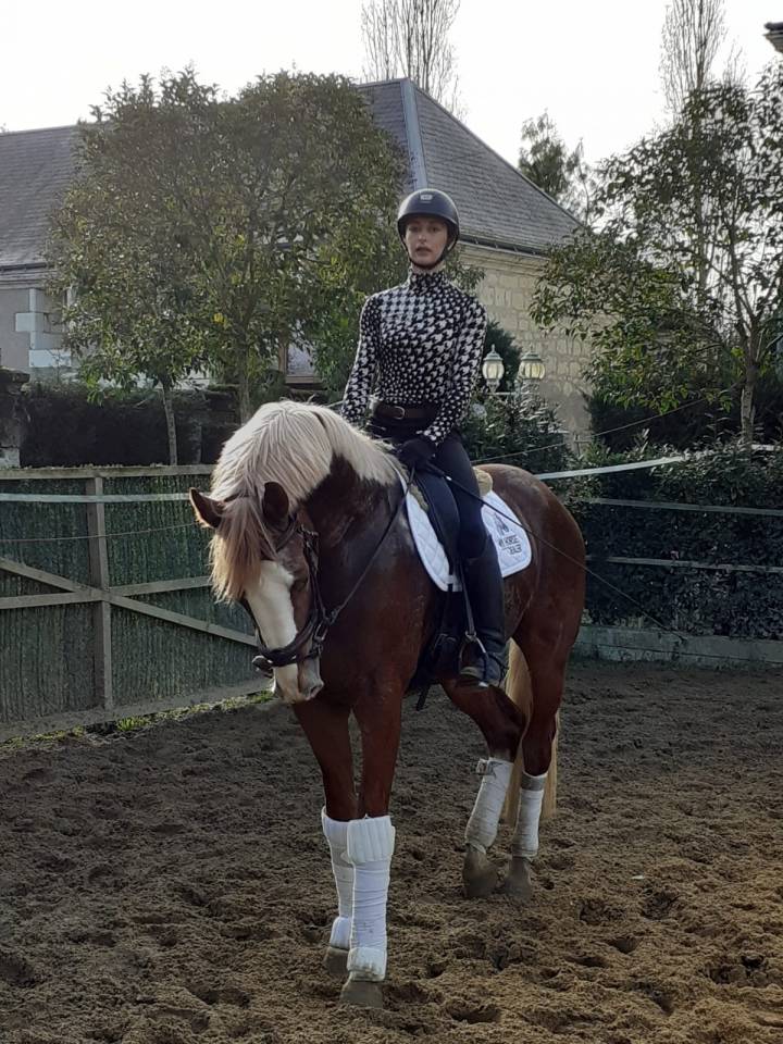 Gracieux d'Osmont - Silla Francés 2016 por jadis de toscane  sfa