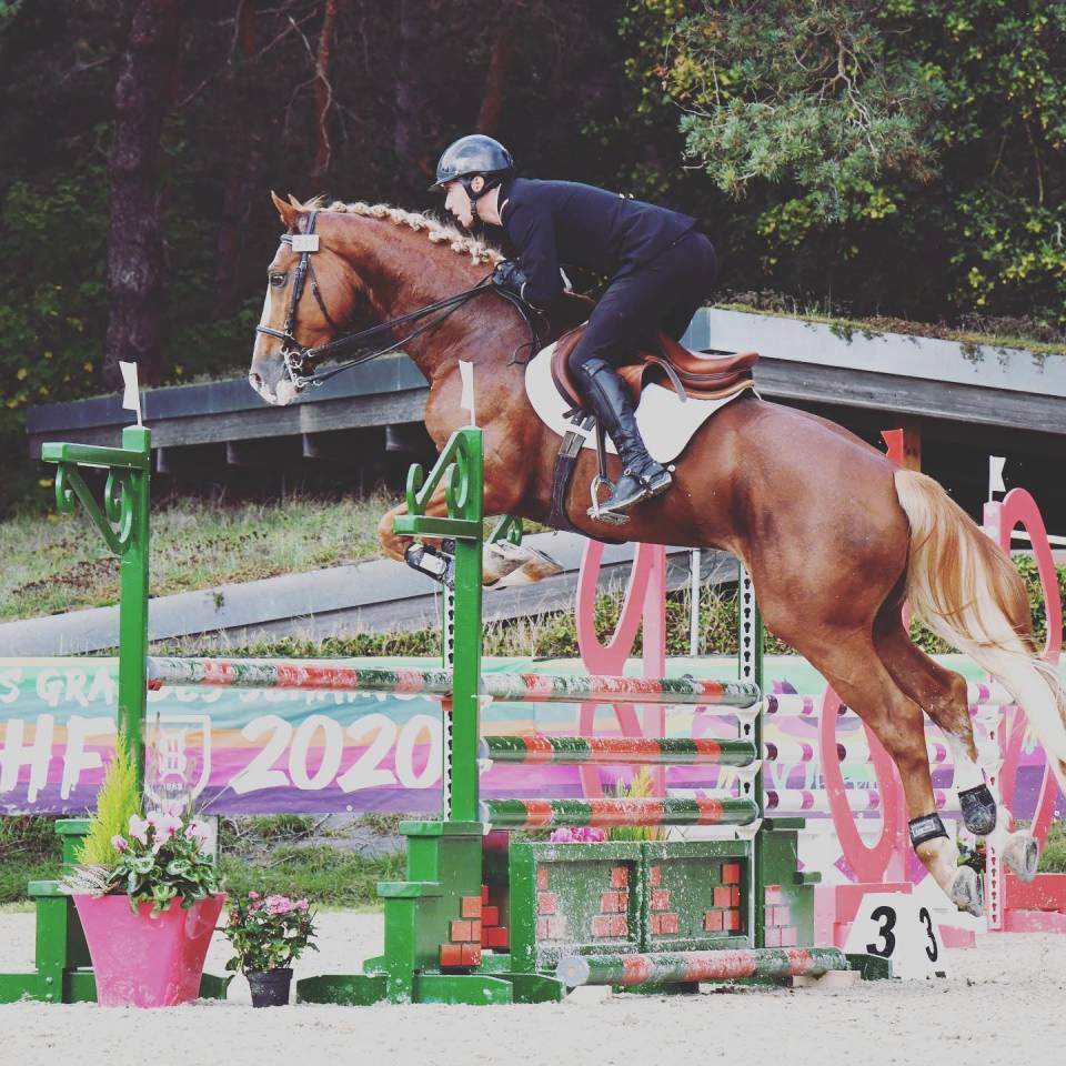 Gracieux d'Osmont - Silla Francés 2016 por jadis de toscane  sfa