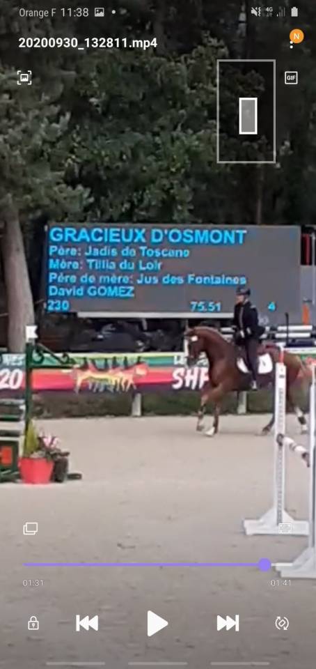 Gracieux d'Osmont - Silla Francés 2016 por jadis de toscane  sfa