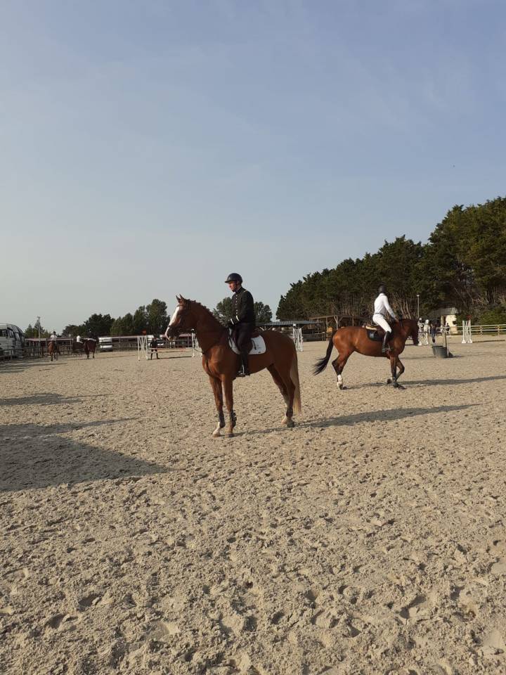 Gracieux d'Osmont - Silla Francés 2016 por jadis de toscane  sfa