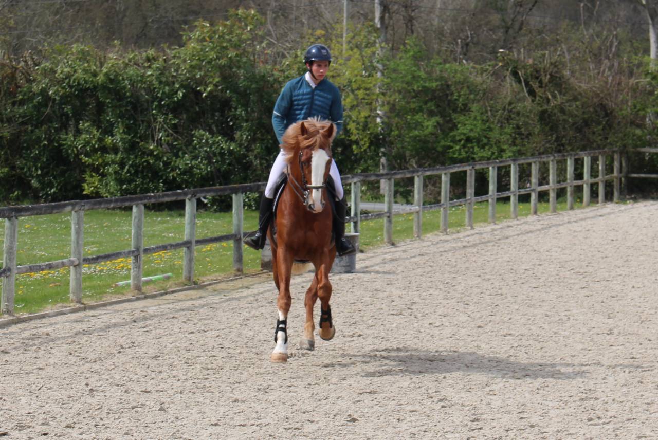 Gracieux d'Osmont - Silla Francés 2016 por jadis de toscane  sfa