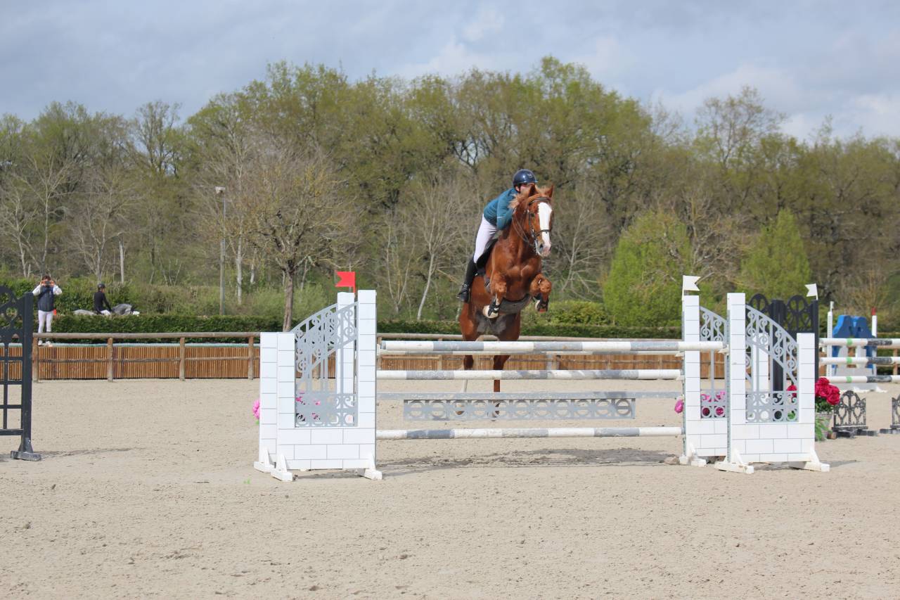 Gracieux d'Osmont - Silla Francés 2016 por jadis de toscane  sfa