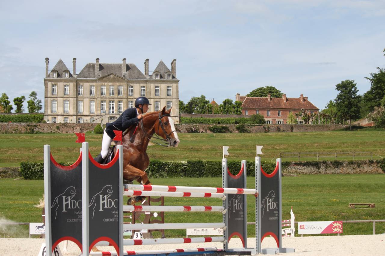 Gracieux d'Osmont - Silla Francés 2016 por jadis de toscane  sfa