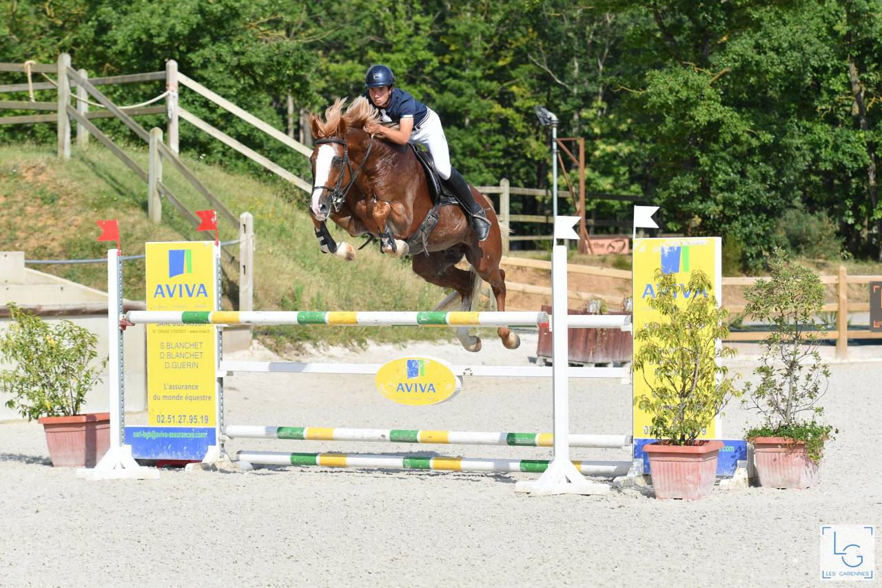 Gracieux d'Osmont - Silla Francés 2016 por jadis de toscane  sfa