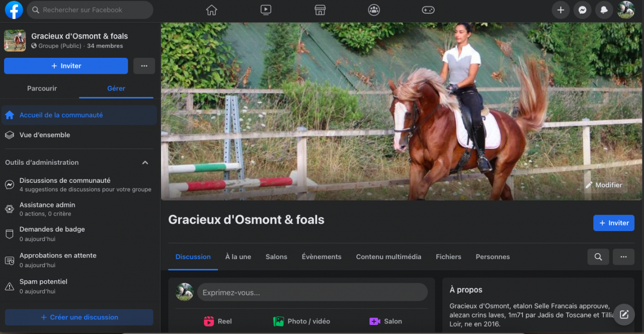 Gracieux d'Osmont - Silla Francés 2016 por jadis de toscane  sfa