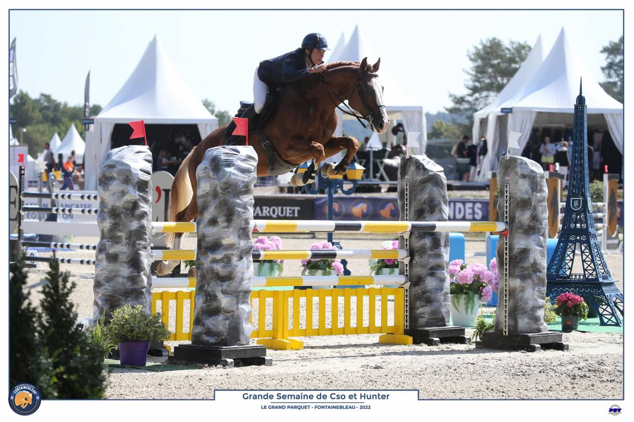 Gracieux d'Osmont - Silla Francés 2016 por jadis de toscane  sfa