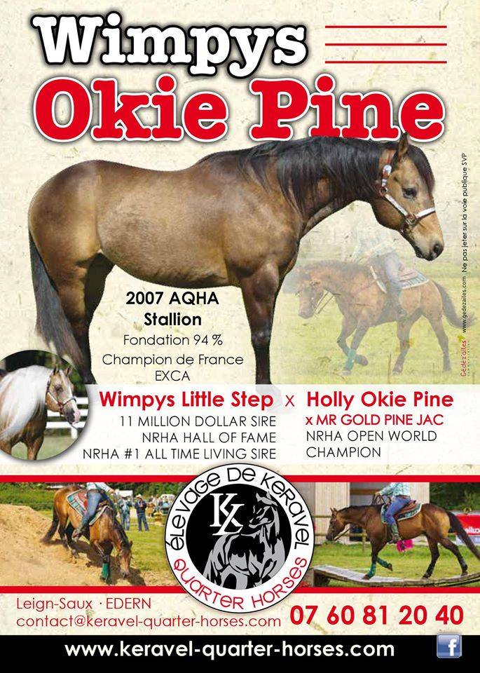 WIMPYS OKIE PINE - Quarter Horse 2007 por Wimpys little Step